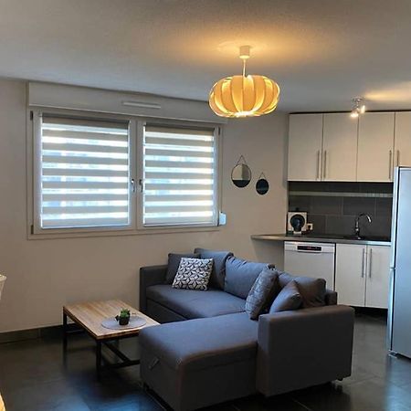 F2 Au Calme, Proche Gare, Center Parc, Sainte Croix Apartman Sarrebourg Kültér fotó